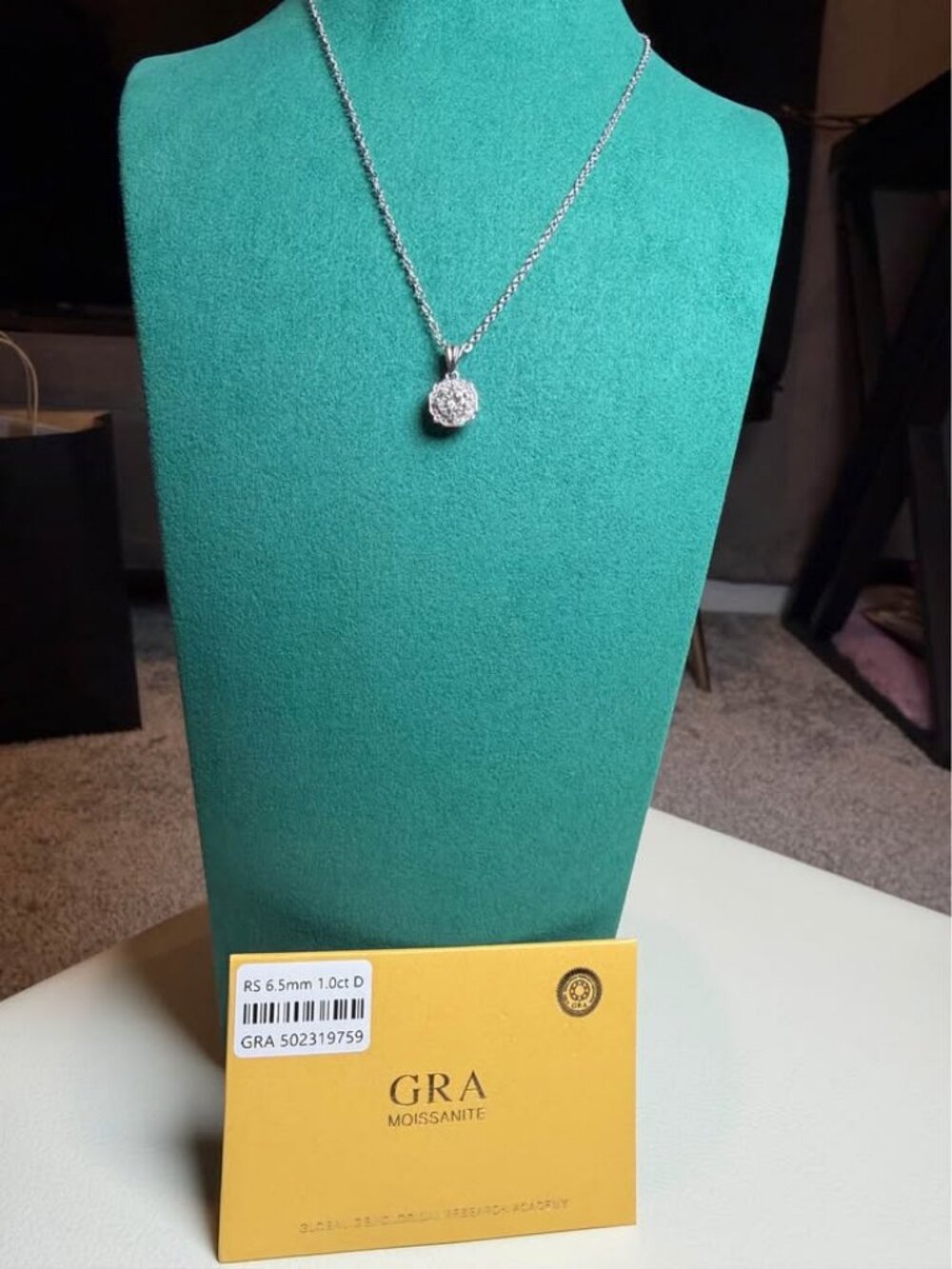WOMEN's GRA 1.0ct Moissanite Halo Pendant with 925 Silver Necklace